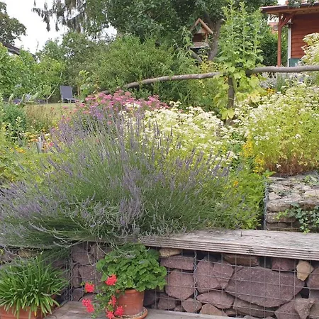 Fewo3-blumenwiese Quedlinburg